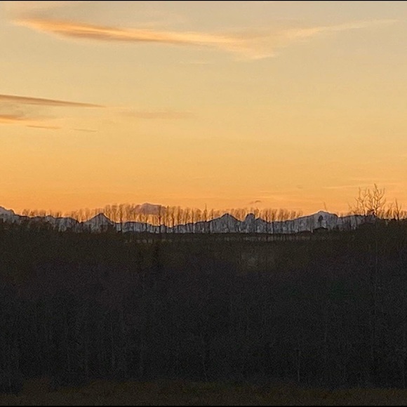 Meet your Posher, T - Picture 1 of 1